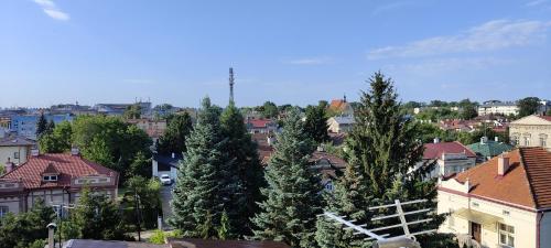 a group of trees in a city with buildings at Apartament Jarosław na wyłączność in Jarosław
