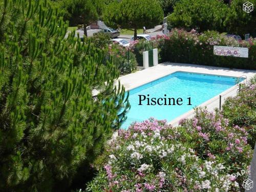 Piscine de l'établissement Flore ou située à proximité