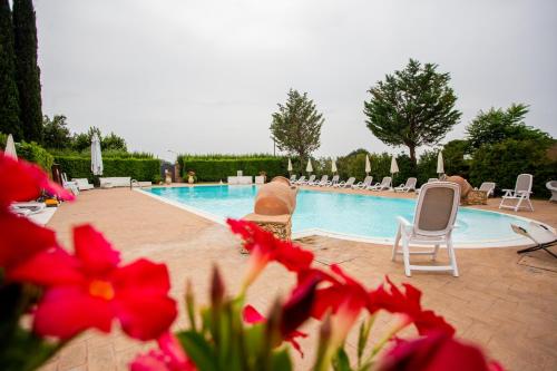 ein großer Pool mit Stühlen und roten Blumen in der Unterkunft Hotel Villa Verde in Rivotorto