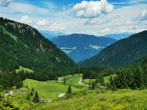 a view of a valley in the mountains at Villa Hubertus Enzian in Kirchbach