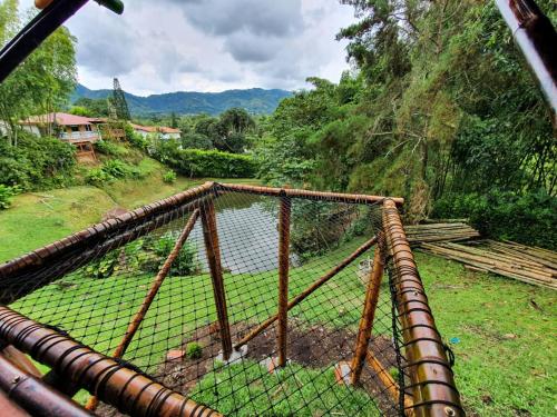 a cage with a view of a body of water at Cabaa Type Glamping - with swimming pool in Rizaralda