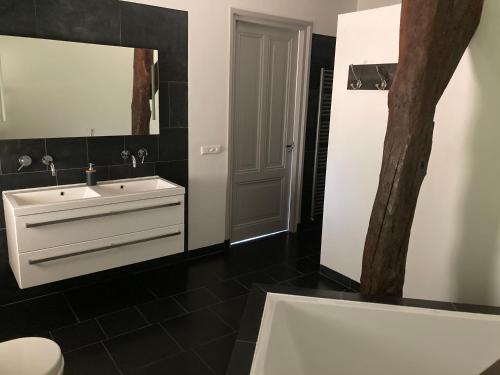 een badkamer met een wastafel en een spiegel bij Hofstede "Den Hul"- Riant & Authentiek verblijf in Barneveld