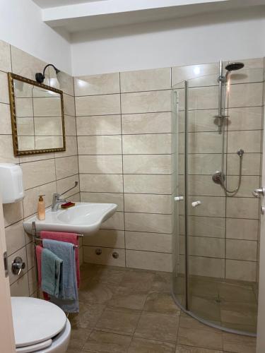 a bathroom with a shower and a sink and a toilet at B&B bottega 11 in Burchio