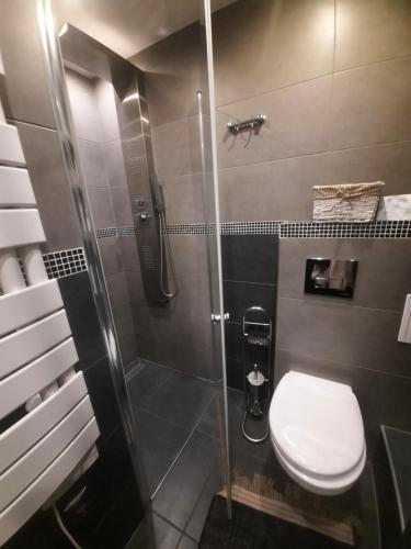 a bathroom with a shower with a toilet and a sink at Apartament Robotnicza in Sanok