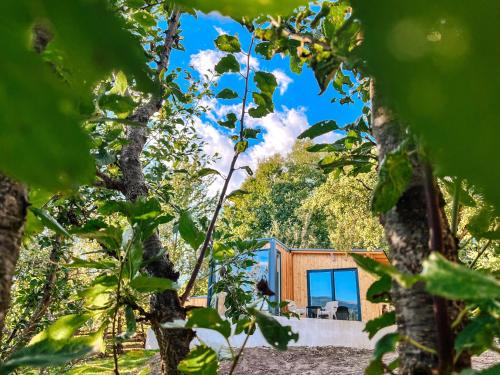 a house in the woods seen through the trees at Elysian Fields - The Island Tiny House in Sadu