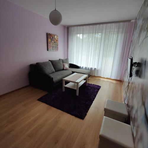 a living room with a couch and a coffee table at Dainai Apartament in Šiauliai