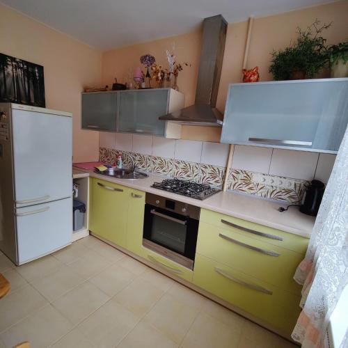 a kitchen with a stove and a refrigerator at Dainai Apartament in Šiauliai