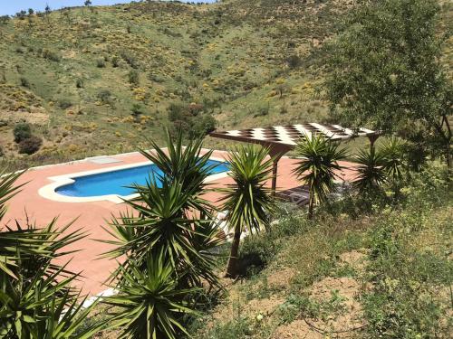 a swimming pool with palm trees next to a mountain at Casa Gala - Caminito del Rey in Málaga