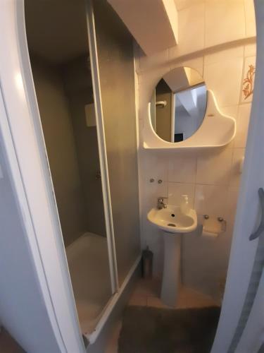 ein Bad mit einer Dusche, einem Waschbecken und einem Spiegel in der Unterkunft Pokoje przy Parku in Danzig
