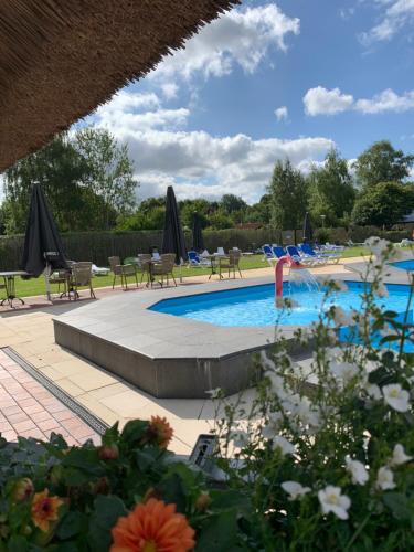 a swimming pool with chairs and umbrellas at De Waterlelie gezellig en sfeervol aan het water in Gramsbergen