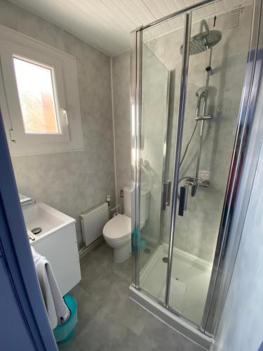 a bathroom with a shower and a toilet and a sink at Hôtel Le Bambi in Baume-les-Dames