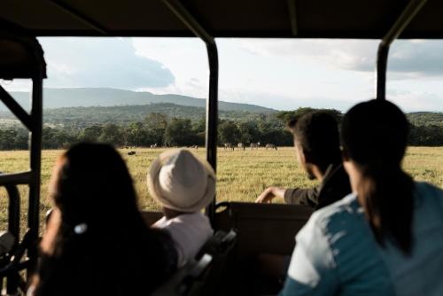 a group of people sitting in a bus looking at a giraffe at Tzaneen Country Lodge in Tzaneen