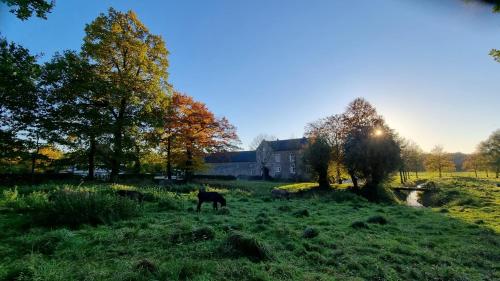 a group of animals grazing in a field with a building at Landgoed Kasteel Terborgh in Schinnen
