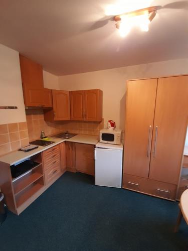 una piccola cucina con armadi in legno e frigorifero bianco di Apartmány u Gothaje a Rokytnice nad Jizerou