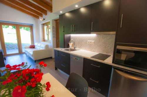 Dapur atau dapur kecil di Goxo-Goxo