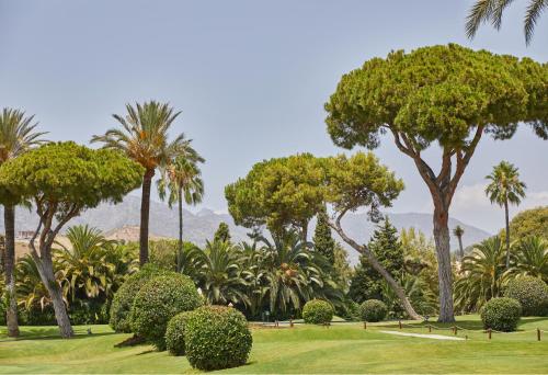 Rio Real Golf & Hotel photo 59