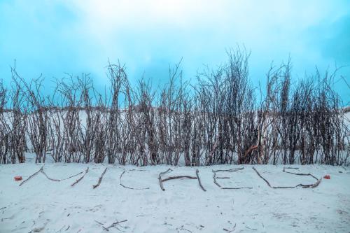 a group of trees in a snow covered field at Michels Inselhotel Vier Jahreszeiten in Norderney