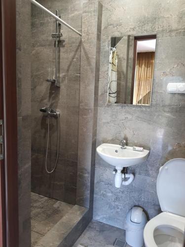 bagno con doccia, lavandino e servizi igienici di Noclegi Nad Jeziorem Myczkowieckim a Solina