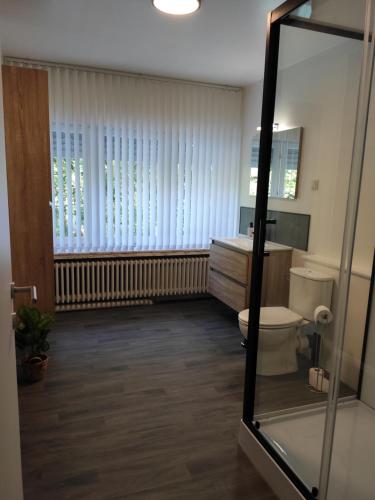 a bathroom with a toilet and a sink and a mirror at Villa Chill in Scherpenheuvel-Zichem