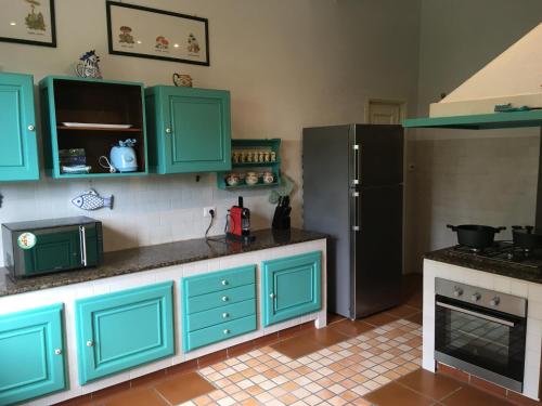a kitchen with mint green cabinets and a refrigerator at Villa Bacchus in Cortanze
