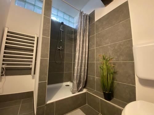 A bathroom at Bristol Apartments