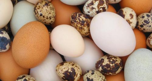 una pila de huevos y otros huevos en Agroturystyka,, Ranczo Kruszynki" en Stronie Śląskie