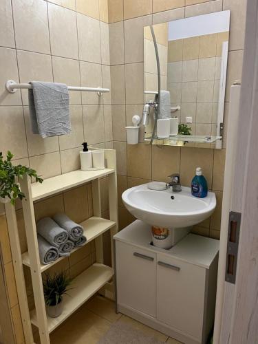 Kúpeľňa v ubytovaní Apartmán Laza