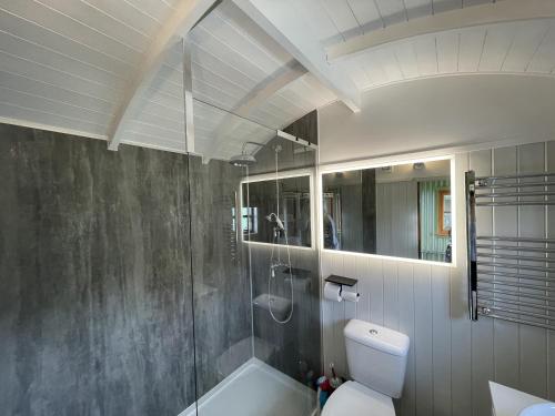 a bathroom with a shower and a toilet and a sink at Puddle Duck Shepherd Hut in Launceston