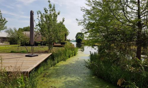 Foto GreenFloat Boskoop - #1 3