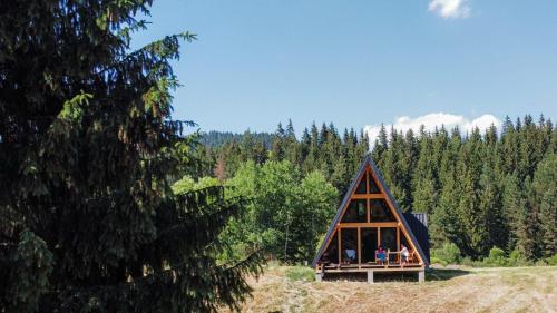 eine kleine Hütte mitten im Wald in der Unterkunft Moldav-A Frame in Câmpulung Moldovenesc