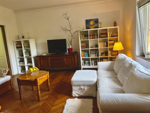 salon z białą kanapą i telewizorem w obiekcie Csodakertes kisház Balatonfűzfőn w mieście Balatonfůzfő
