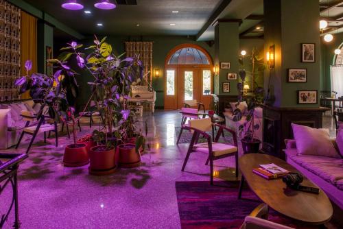un salon rempli de beaucoup de plantes et de moquette violette dans l'établissement Hotel Chateau Kvareli, à Kvareli