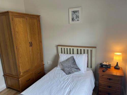 Loughrea Lodge Kilrush County Clare V15 NX53 في غابات كيلرَش: غرفة نوم مع سرير وخزانة مع مصباح