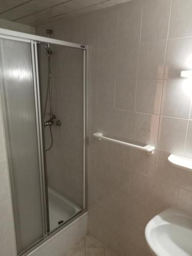 una ducha con una puerta de cristal junto a un lavabo en Übernachtungszimmer 1, en Schlettau
