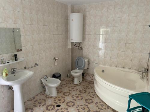 a bathroom with a toilet and a tub and a sink at Casa Silvia in Eşelniţa