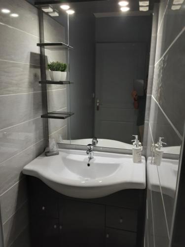 a bathroom with a white sink and a mirror at La Tourterelle in Thaims