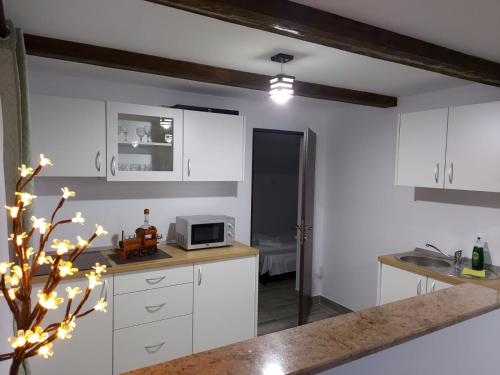 Kuchyň nebo kuchyňský kout v ubytování Casa Radu