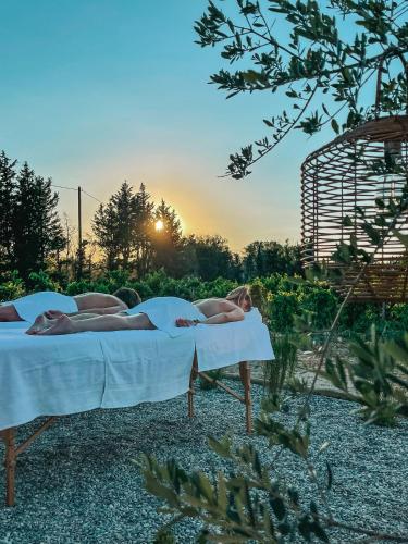 Photo de la galerie de l'établissement Suite évasion au cœur des vignes, à Sorgues