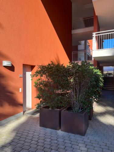 a group of plants in pots next to a building at Hapimag Resort Ascona in Ascona