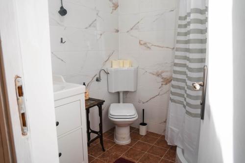 a white bathroom with a toilet and a sink at Country House Sveta Ana in Stari Trg pri Ložu