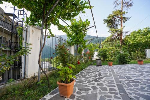 Gallery image of Natali Hotel in Borjomi