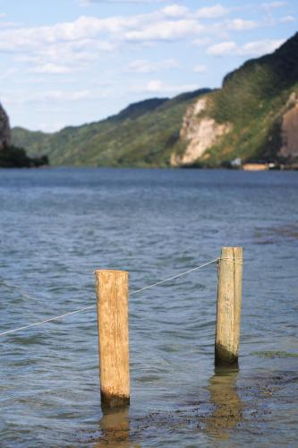 two wooden posts sticking out of a body of water at Apartman Barka in Golubac