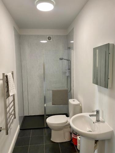 a bathroom with a toilet and a sink and a shower at Ty Bach in Aberystwyth