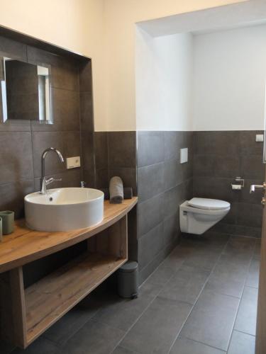 a bathroom with a sink and a toilet at Ferienwohnungen Am Kapellenberg Losheim am See in Losheim