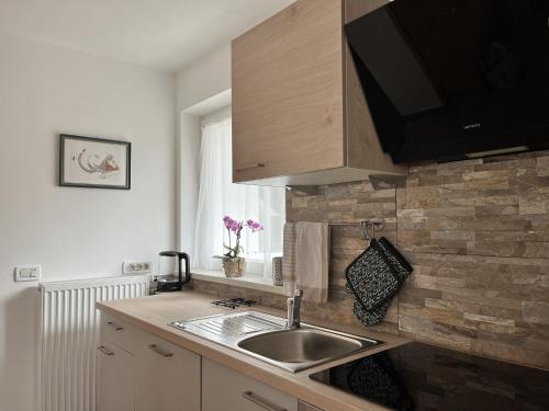 een aanrecht met een wastafel en een raam bij Ciasa Andy in Badia