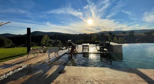 a man and two dogs walking next to a pool at CORK VALLEY - Pet Friendly & Only Adults in Hontanar