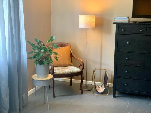 - une chaise avec un oreiller et une plante dans la chambre dans l'établissement Apartment Sigulda, à Sigulda