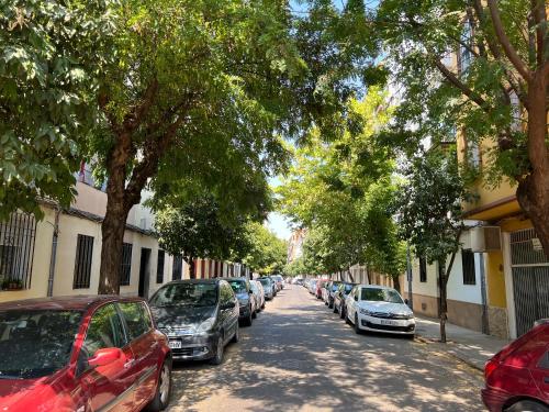 Loft Ciudad Jardín