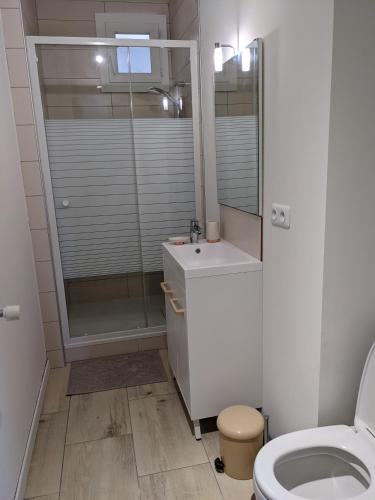 une salle de bain avec une douche, un lavabo et des toilettes dans l'établissement superbe t2 proche des plages et des commerces, à Hyères