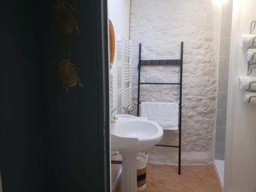 a bathroom with a white sink and a towel rack at Studio Léonie, le cottage de l'étang in Le Tablier